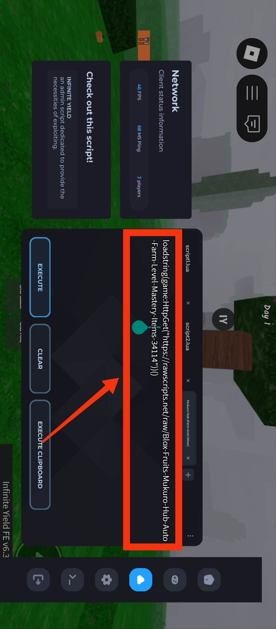 Paste Custom Script